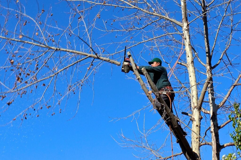 Tree Trimming RI