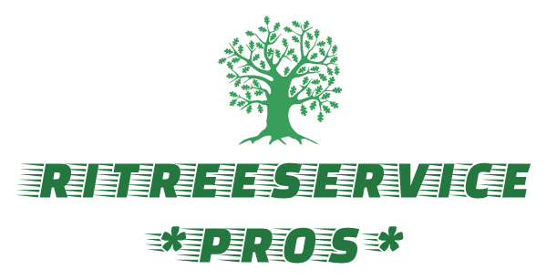 Tree Service RI - Tree Removal RI