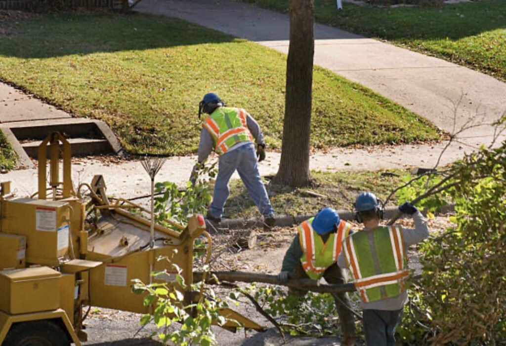 Emergency Tree Service Pawtucket RI - Emergency Tree Removal Pawtucket RI - Emergency Tree Service in Pawtucket RI - Emergency Tree Removal in Pawtucket RI