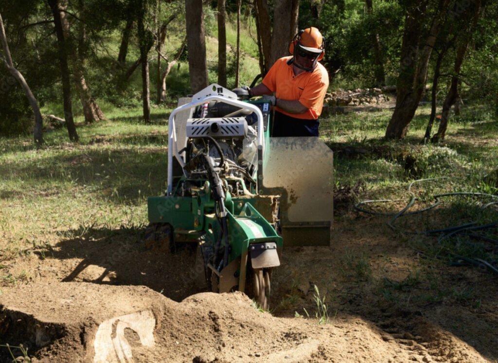 Stump Removal Bristol RI