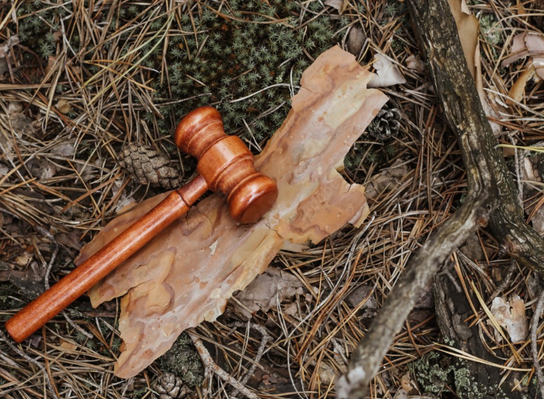 RI Tree Laws - Trimming Rights - Overhangs And Property Lines