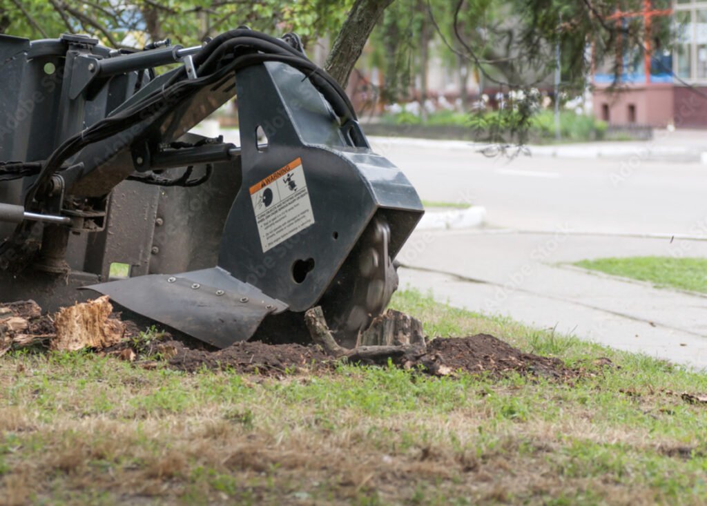 Stump Removal Pawtucket RI - Stump Grinding Pawtucket RI - Stump Removal in Pawtucket RI - Stump Grinding in Pawtucket RI