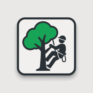 RI Tree Service Pros
